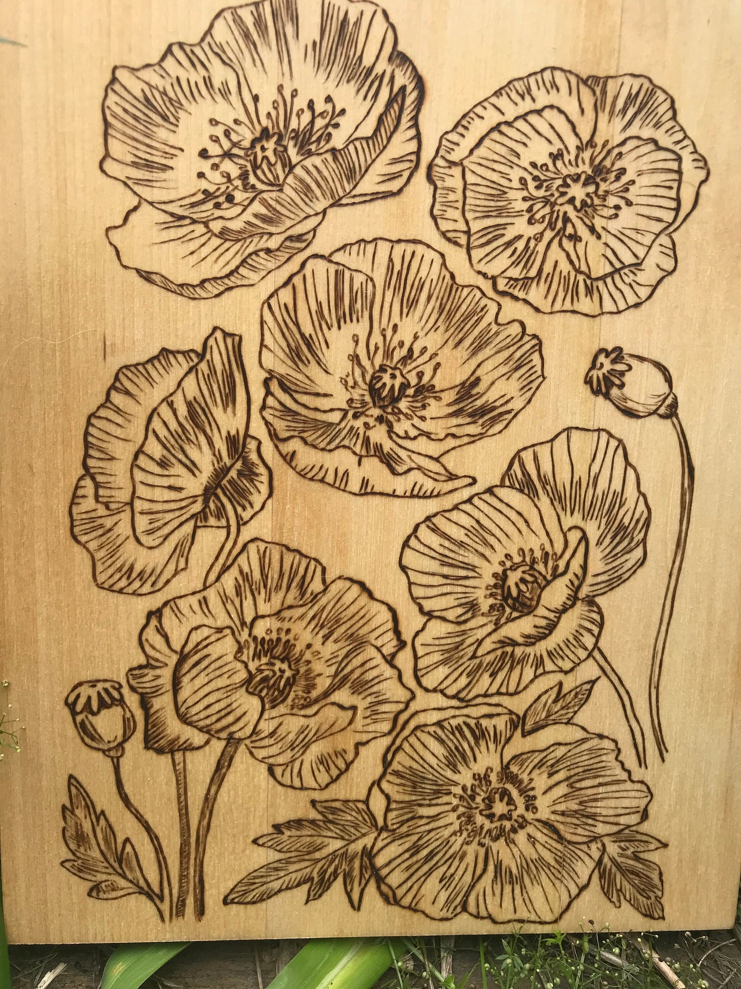 Nature's Symphony: Woodburned Poppy Wall Art | Handcrafted Rustic Floral Decor | Stunning Home & Office Accent | Unique Gift |