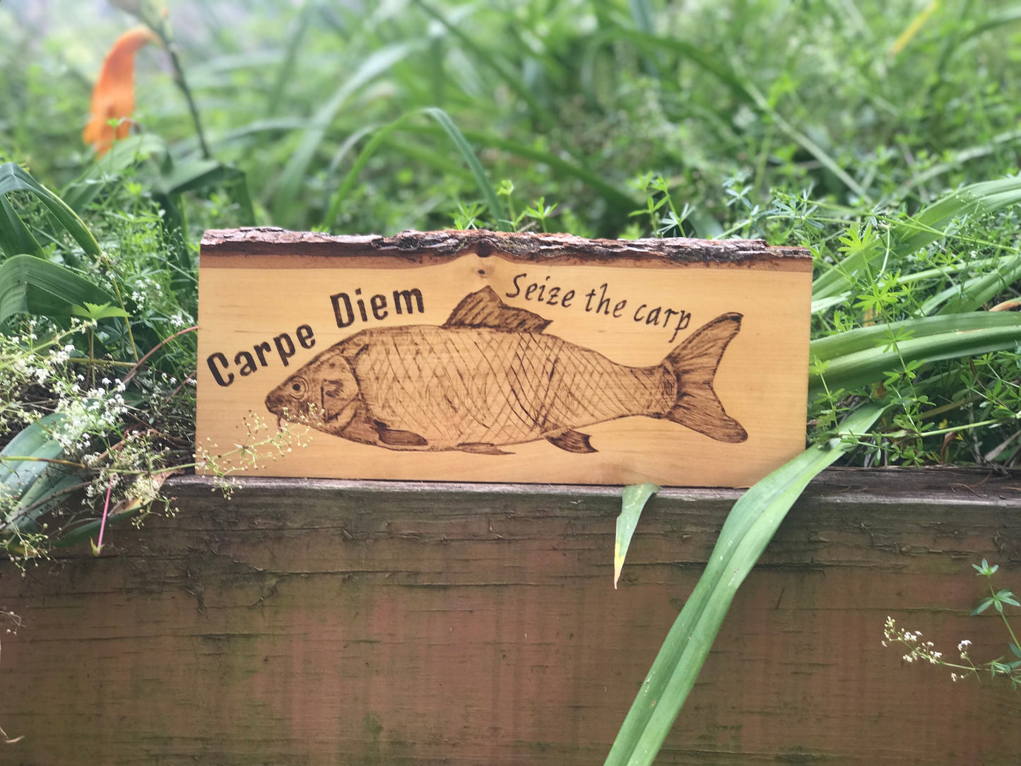 Hand-Burned Pyrography Wooden Sign Carpe Diem - Seize the Carp - Funny Catch Phrase - Fishing Art - Rustic Home Decor - Fishing Enthusiasts