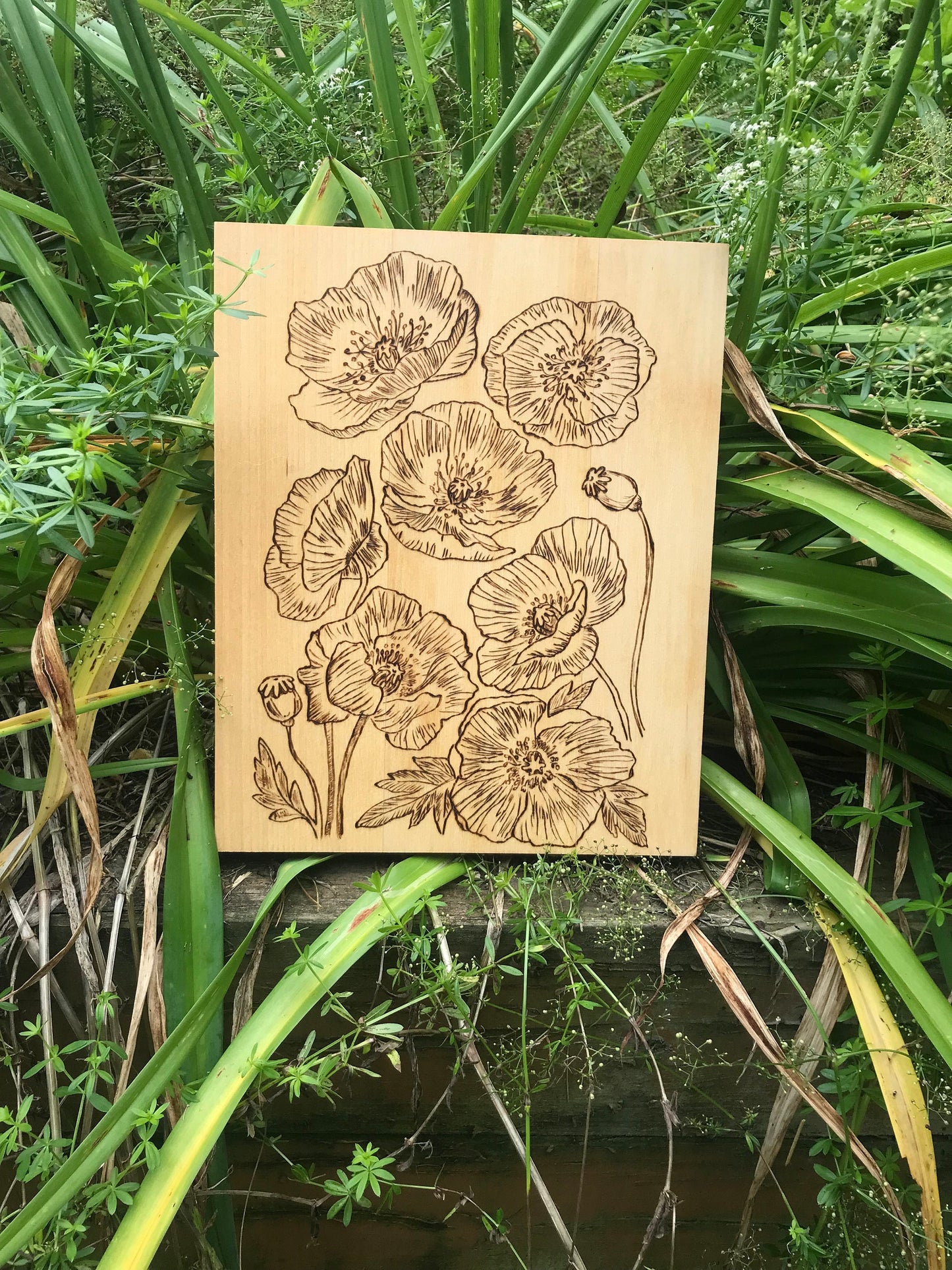 Nature's Symphony: Woodburned Poppy Wall Art | Handcrafted Rustic Floral Decor | Stunning Home & Office Accent | Unique Gift |