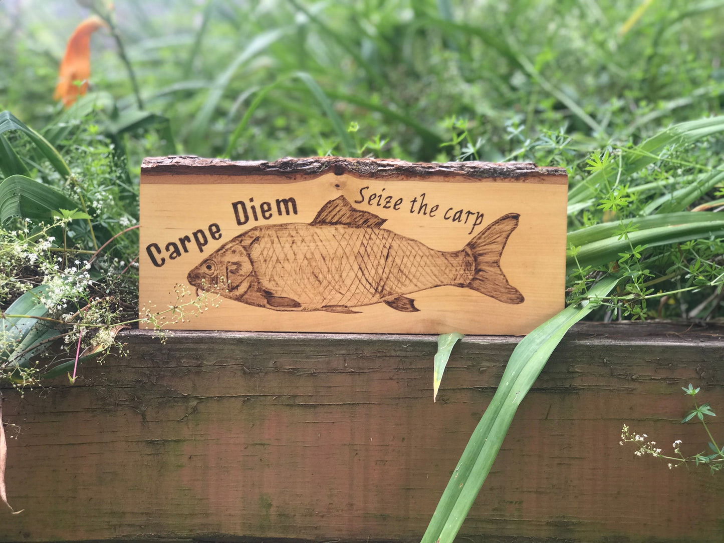 Hand-Burned Pyrography Wooden Sign Carpe Diem - Seize the Carp - Funny Catch Phrase - Fishing Art - Rustic Home Decor - Fishing Enthusiasts