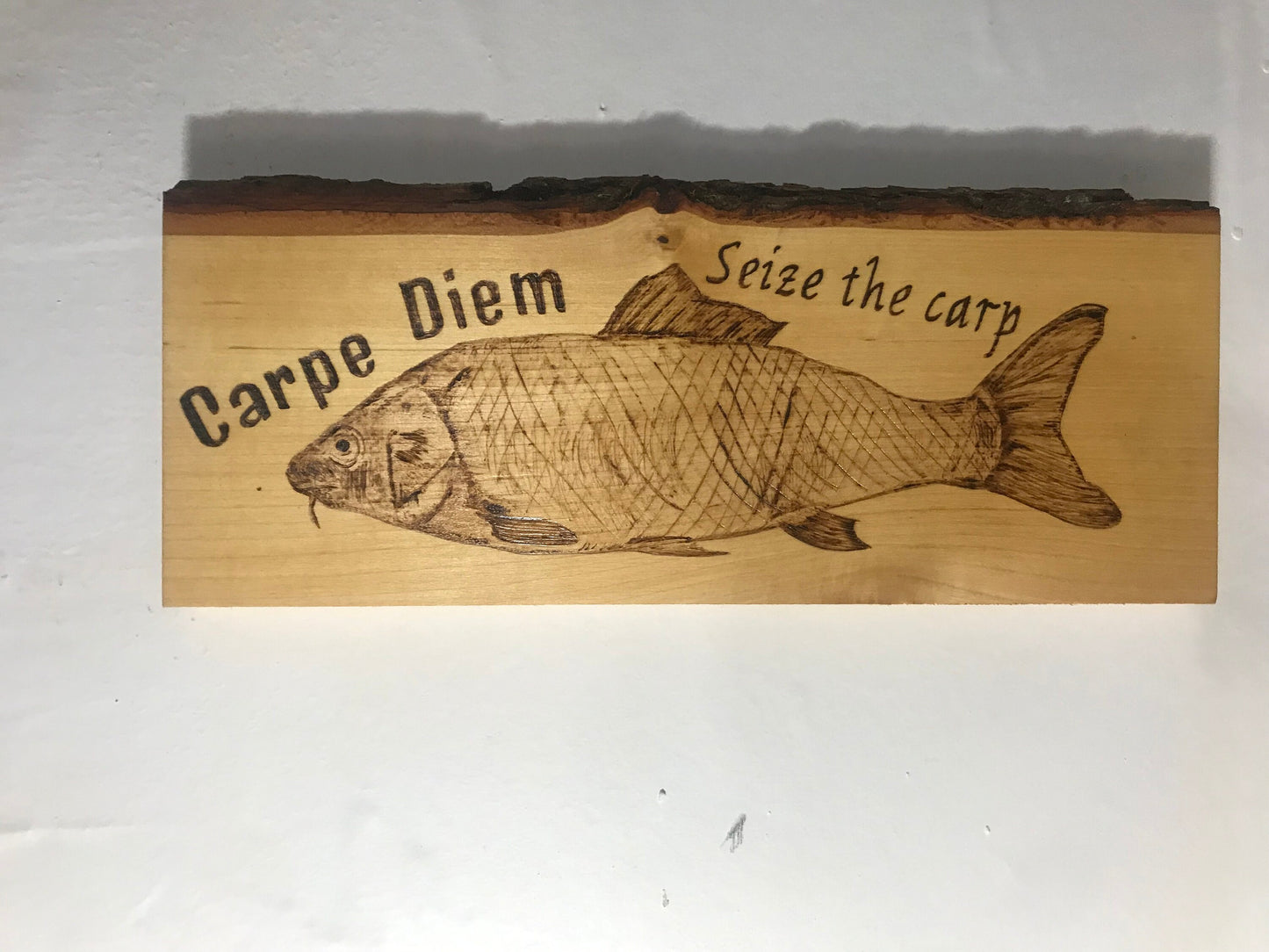 Hand-Burned Pyrography Wooden Sign Carpe Diem - Seize the Carp - Funny Catch Phrase - Fishing Art - Rustic Home Decor - Fishing Enthusiasts