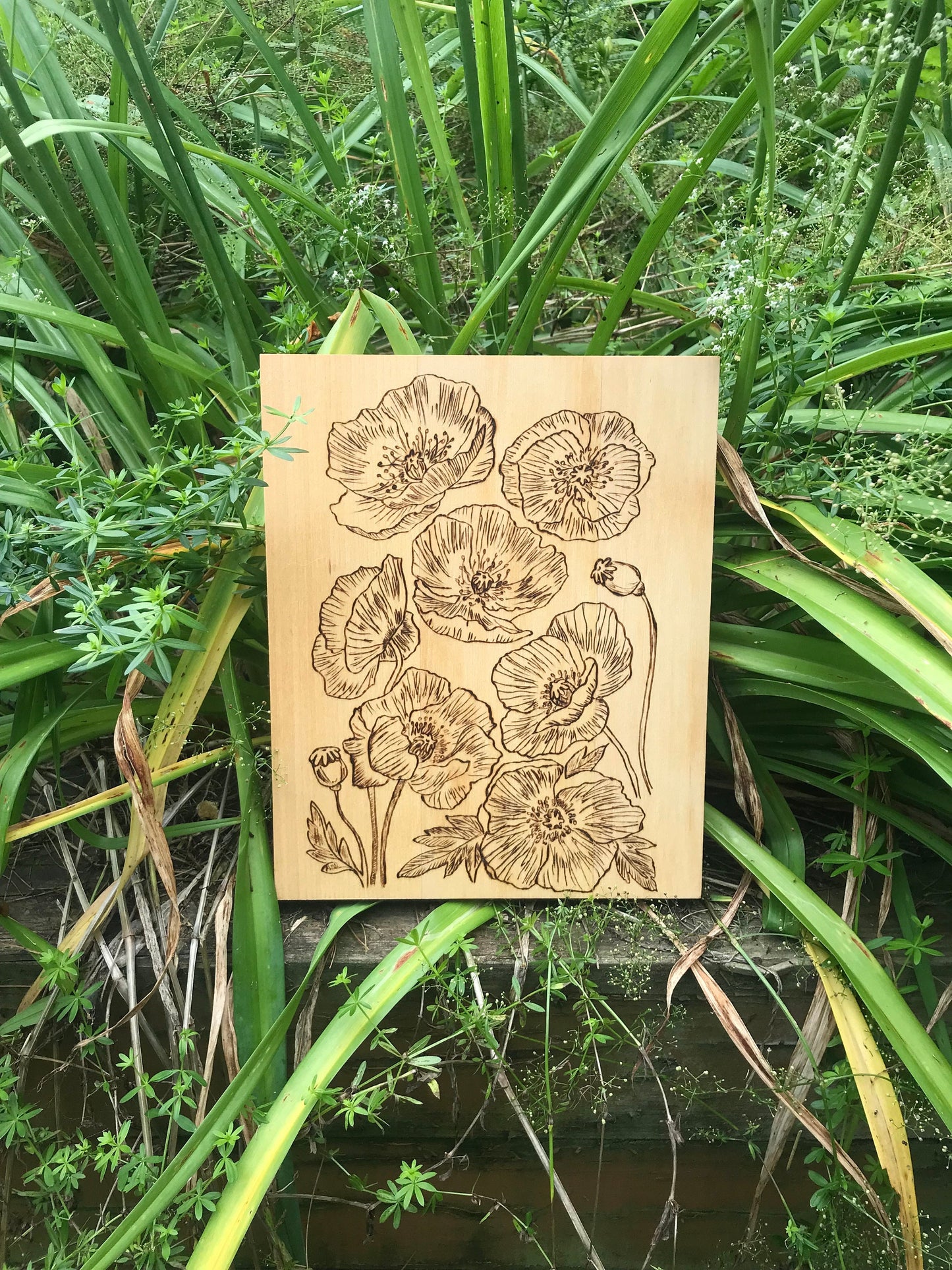 Nature's Symphony: Woodburned Poppy Wall Art | Handcrafted Rustic Floral Decor | Stunning Home & Office Accent | Unique Gift |