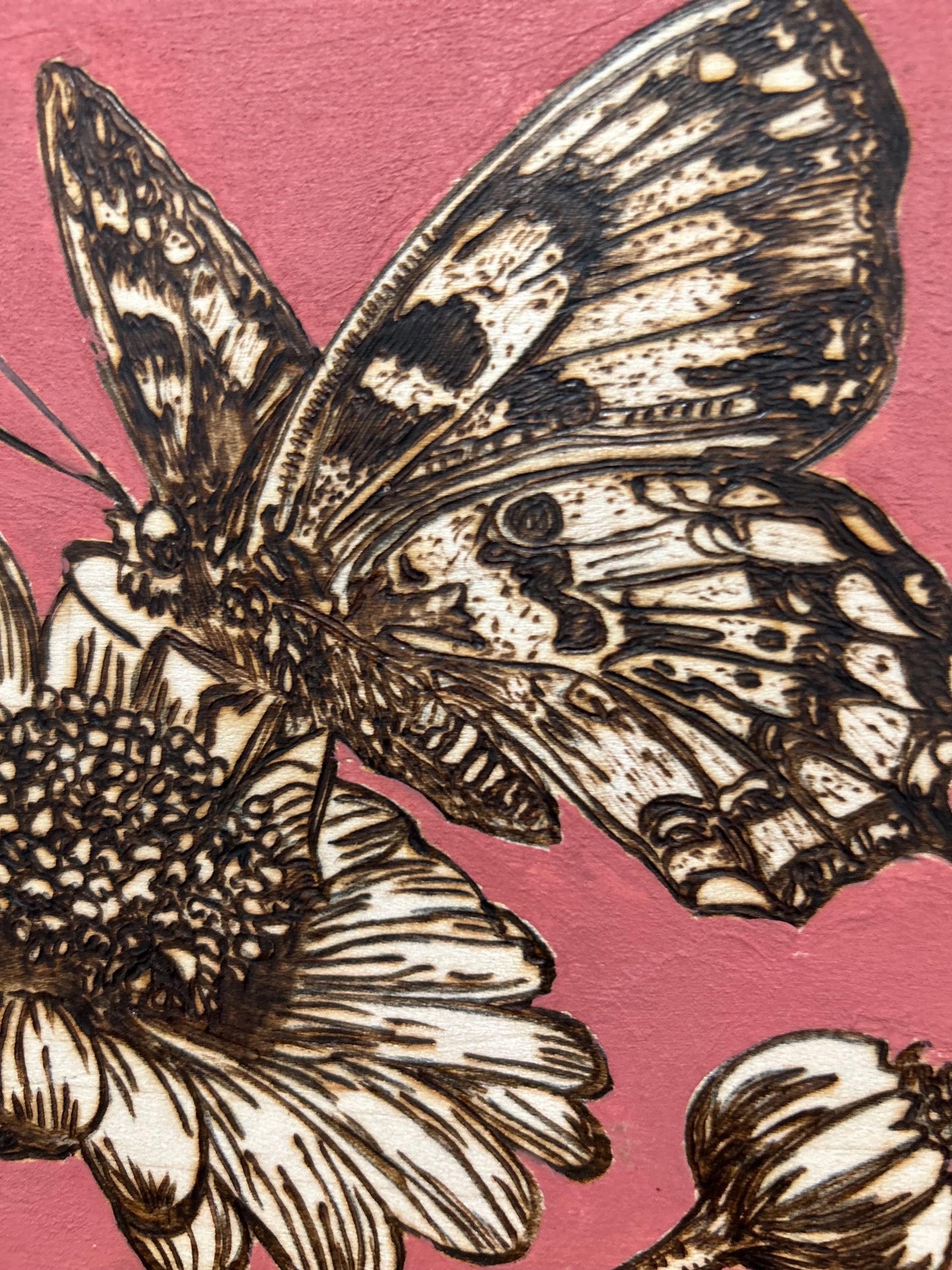 Butterfly and Floral Woodburned Home Decor, Hanging Wall Sign, Butterfly Flower Home Decor, Pink, Gifts for mom, terracotta. gifts for mom