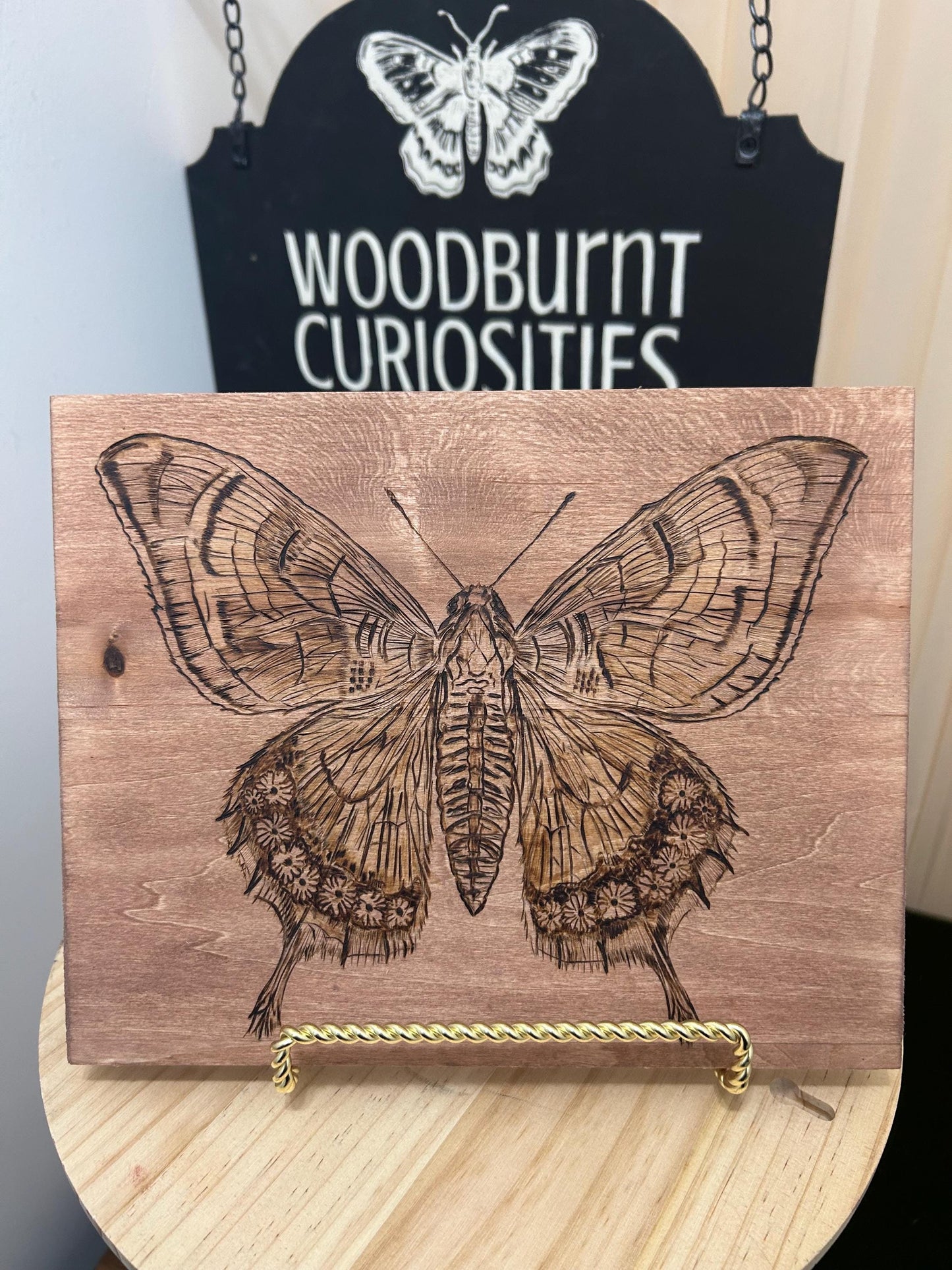 Detailed Hand-burned Moth Wood-burning Art Decor, Unique Wood Art, Interesting home Decor.