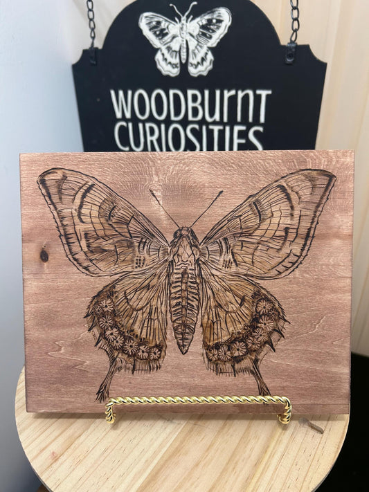 Detailed Hand-burned Moth Wood-burning Art Decor, Unique Wood Art, Interesting home Decor.
