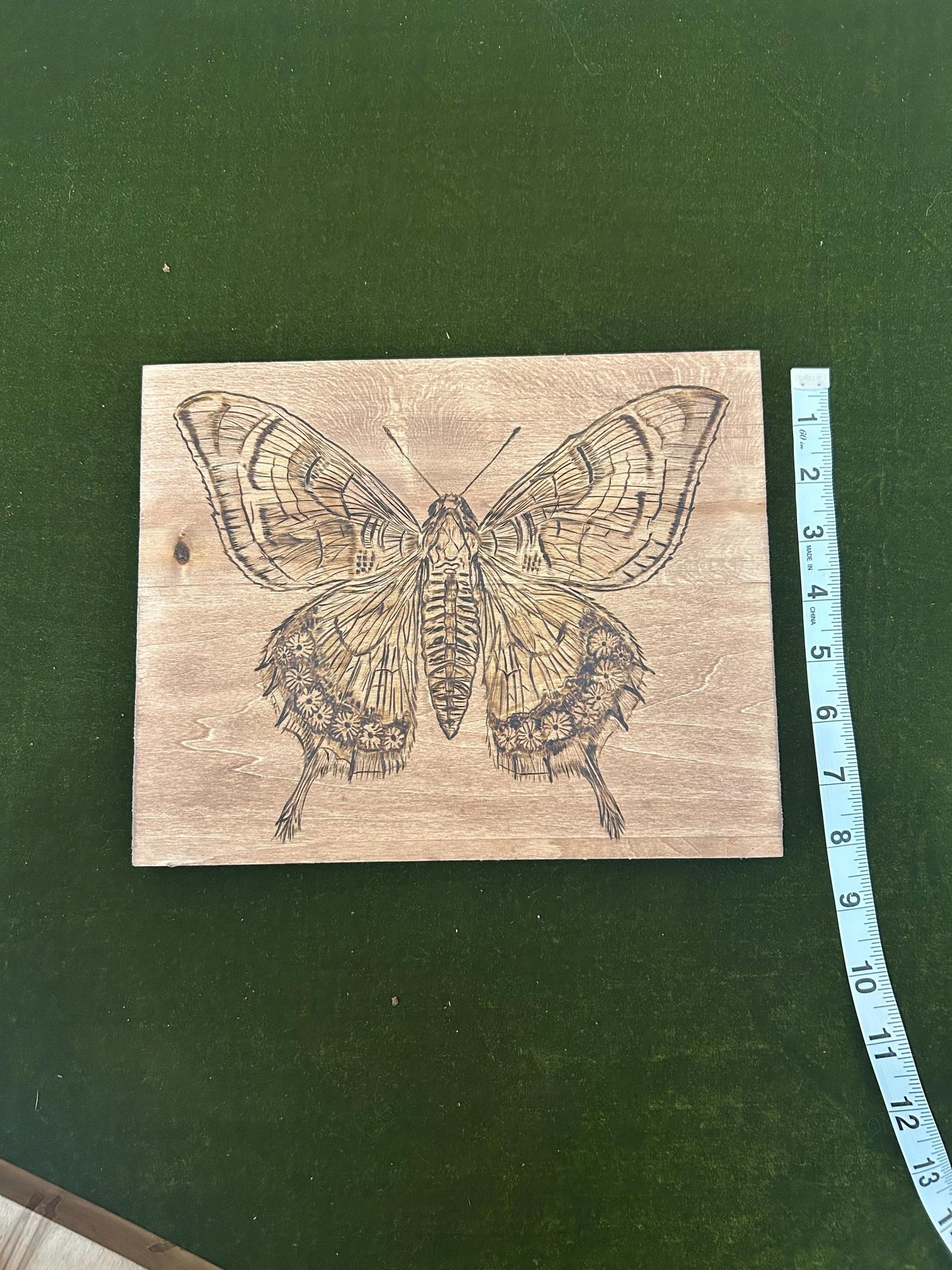 Detailed Hand-burned Moth Wood-burning Art Decor, Unique Wood Art, Interesting home Decor.